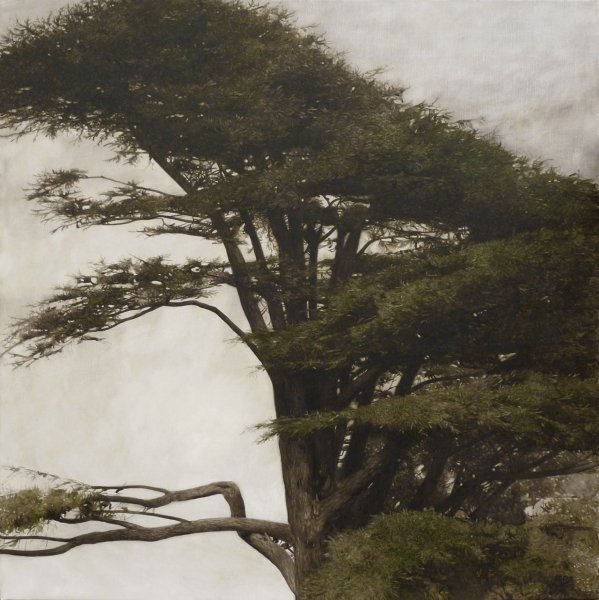 Живопись Алексея Бегака