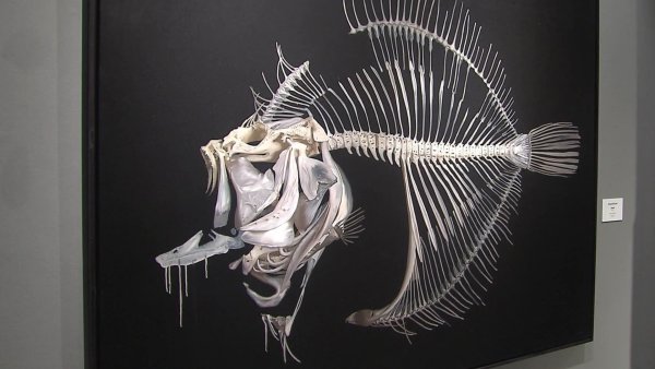 Алексей Бегак выставка