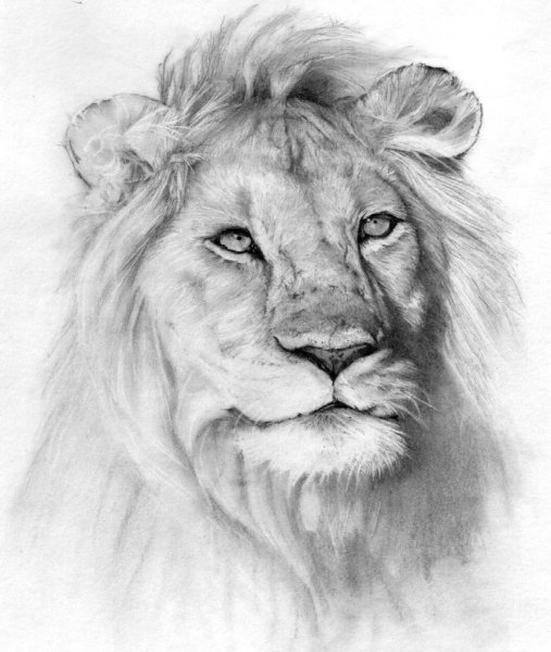 Пейзажи для срисовки