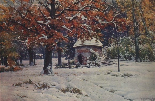 Александр Александровский Торжок зимний