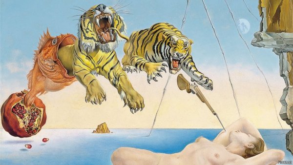 Salvador Dali Dream