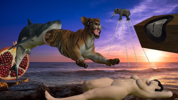 Сальвадор дали сон вызванный полётом пчелы