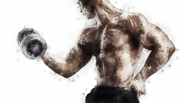 Зарисовки в тренажерном зале