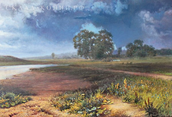 Фёдор Александрович Васильев мокрый луг