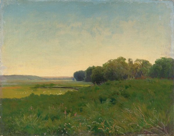 Ф. Васильева «мокрый луг»