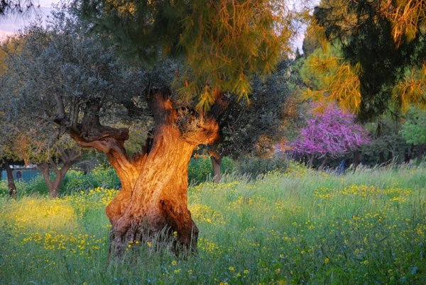 Художник Дмитрий Васильев Возвращение с фронта