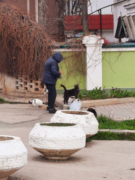 Якуб Аккизов