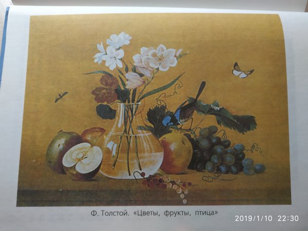 Фёдор Петрович толстой цветы фрукты птица