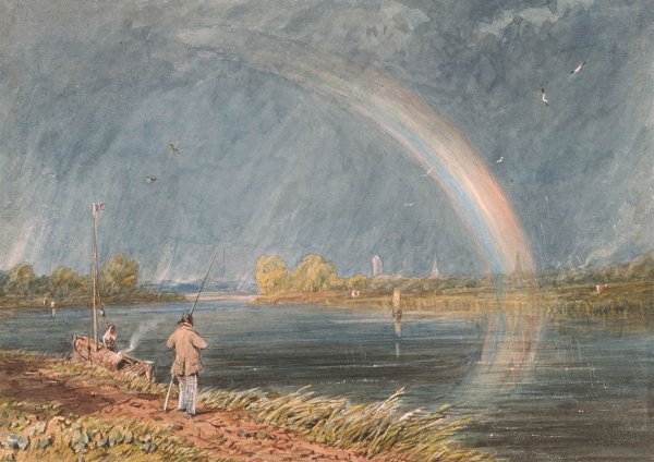 Клод Моне нимфеи 1907