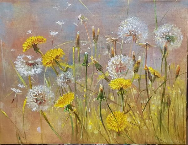 Бальмонт седой одуванчик