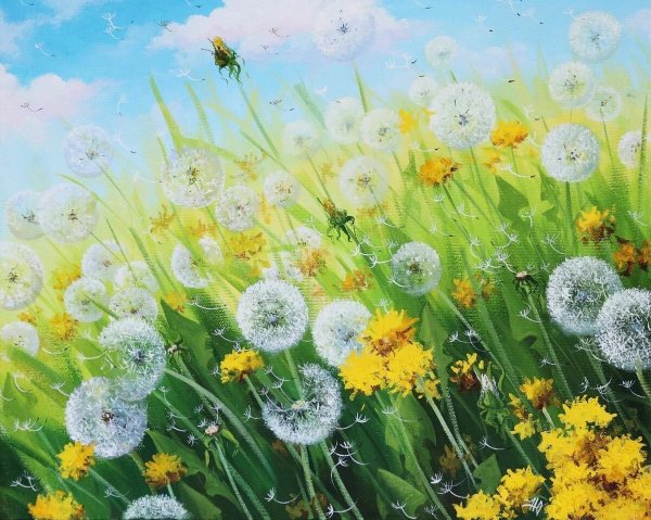 Поле одуванчиков Геншин