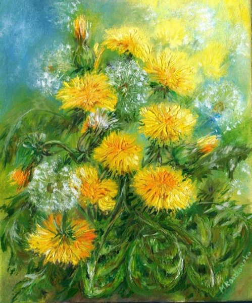 Серова одуванчик