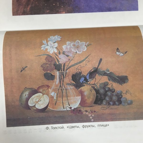 Цвет фрукты птица Федор толстой