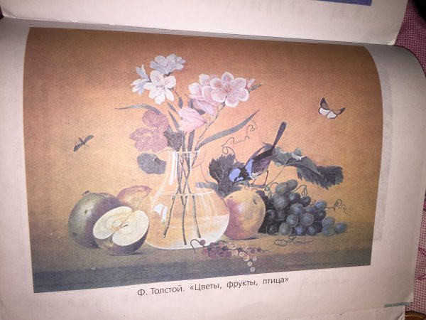 План к сочинению по картине цветы фрукты птица 5 класс