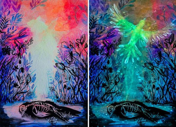 Флуоресцентная живопись