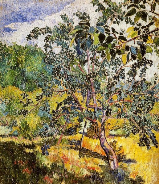 Наталия Гончарова картины