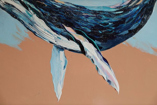 Аблогина Анастасия картины китов