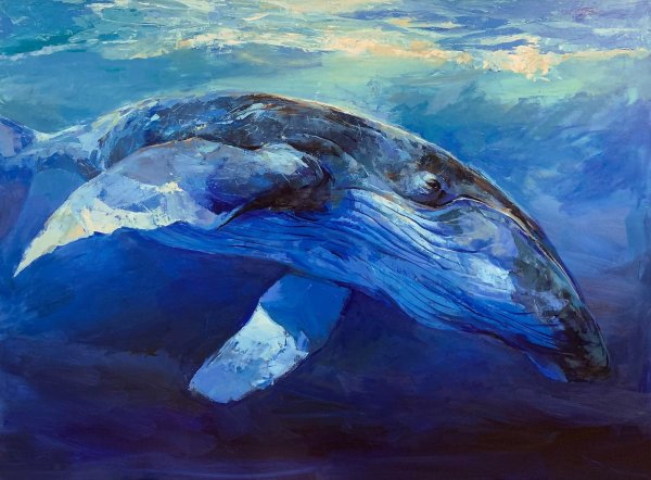 Картины китов
