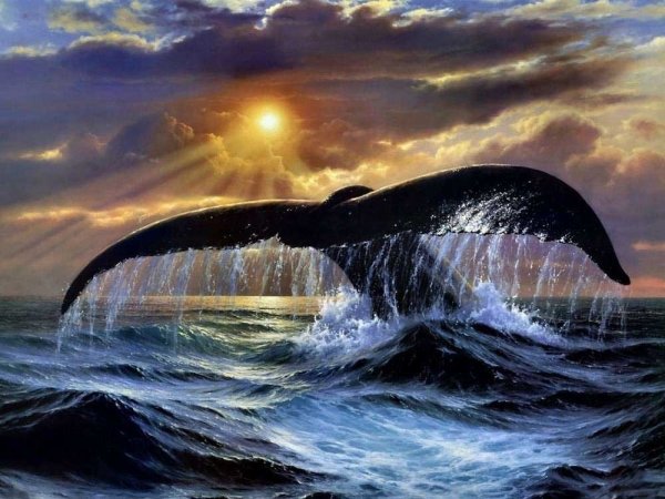 Картина хвост кита
