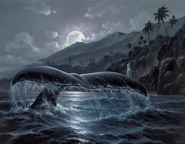 Картина потномерам кит