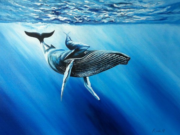 Кит рисунок