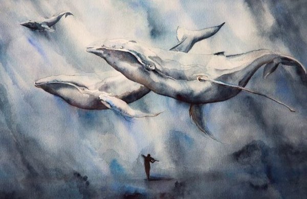 Киты в небе маслом