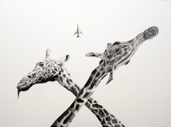 Черно белые картины