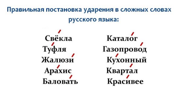 Ударения в словах