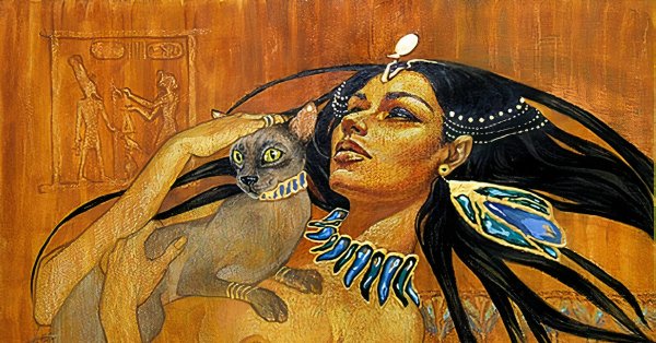 Галла Абдель Фаттах картины