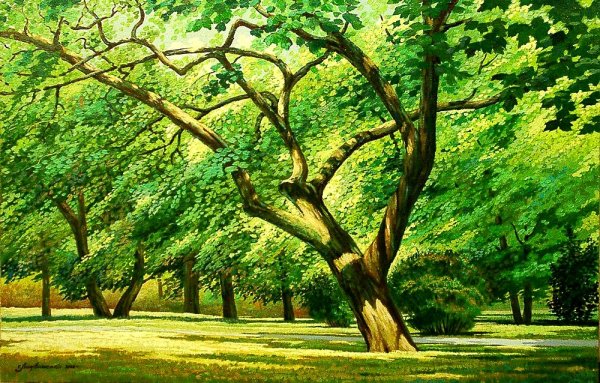 Сочинение зеленый шум