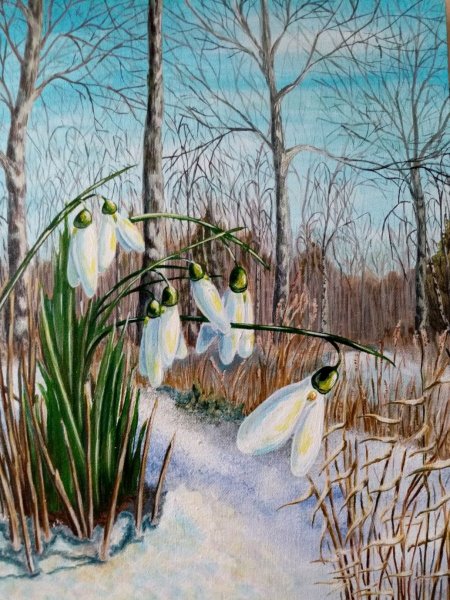 Крокусы Елена Тенер