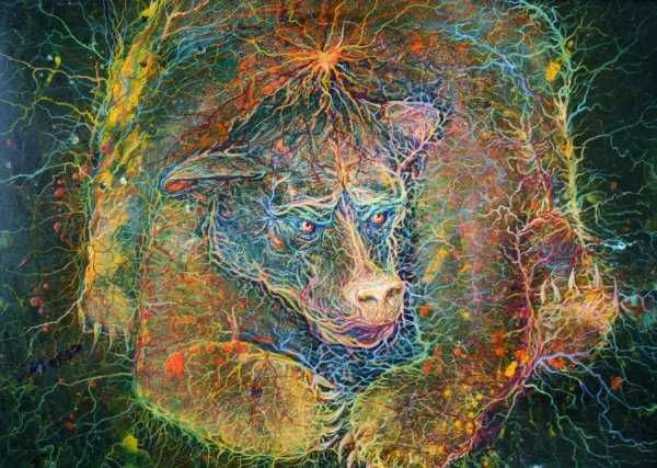 Ринат Волигамси Эрарта