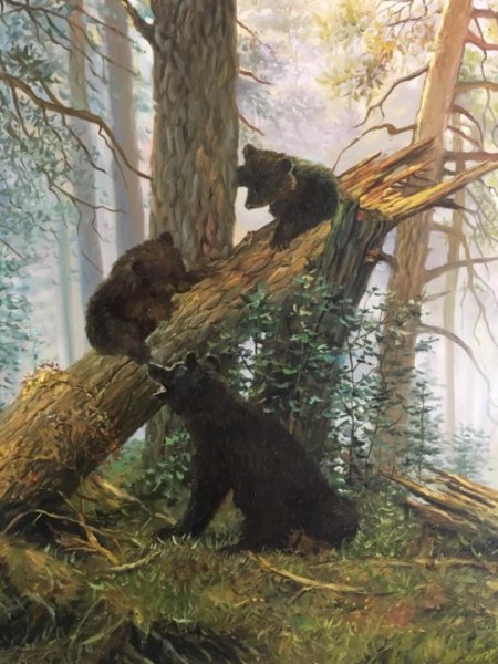 Шишкина «утро в Сосновом лесу» (1889)