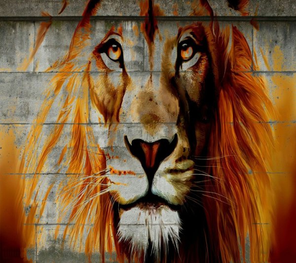 Обои на рабочий стол Лев