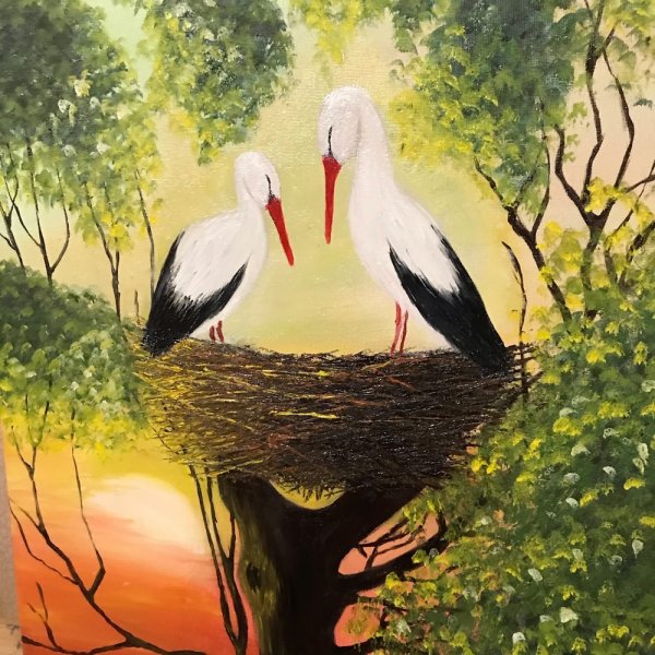 Семья аистов
