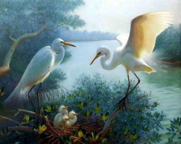 Аисты в гнезде живопись