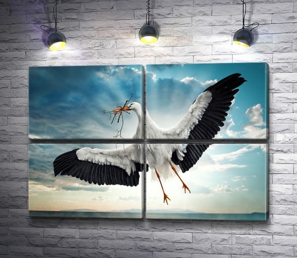 Иван тихий Аисты