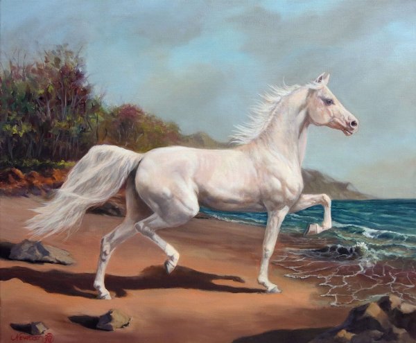 Jeanne Newton Schoborg