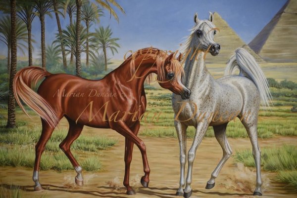 Лошади. Британский художник Петер Смит .