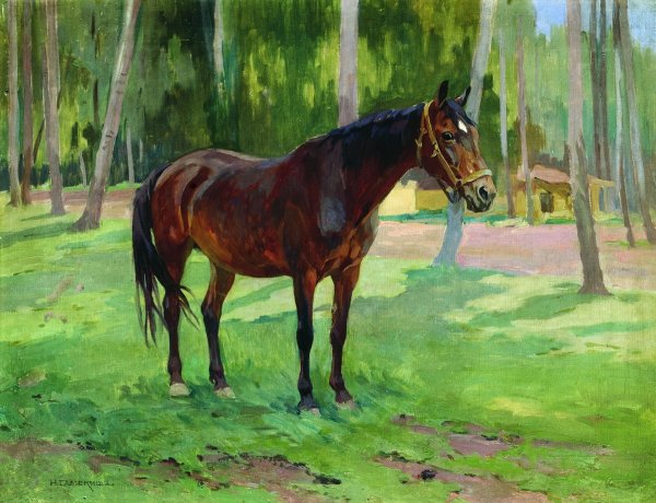 Николай Самокиш лошади