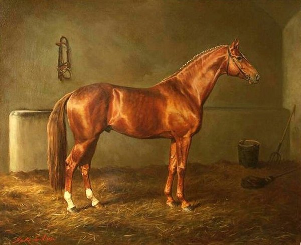 Ярослав Колобаев лошади