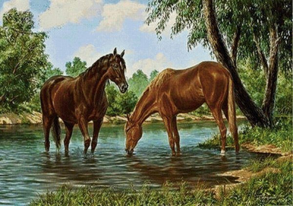 Сатаров Михаил художник картинылошадь на водопе на речке