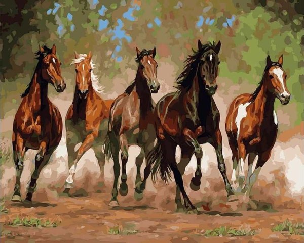 Бонни Маррис художник лошади