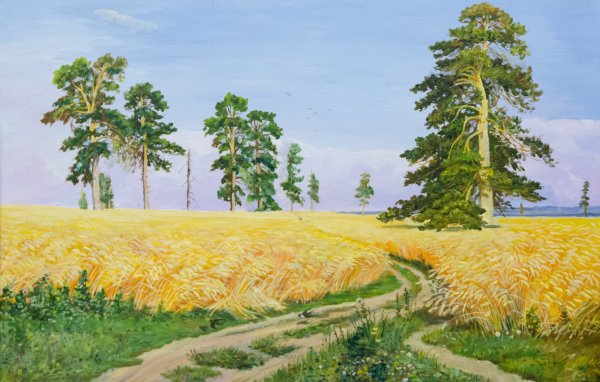 Картина поле пшеницы