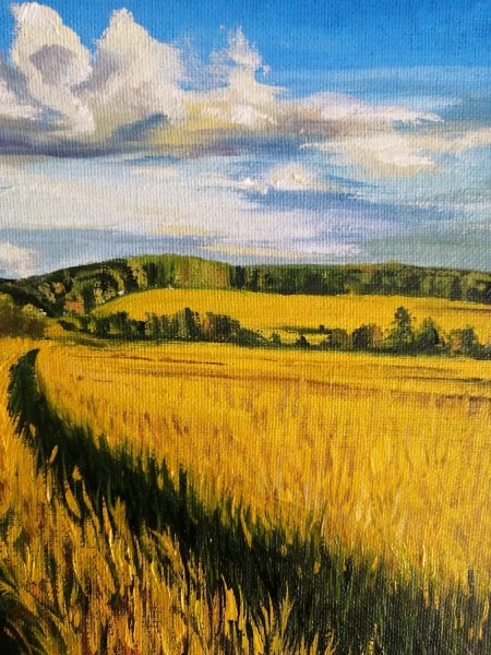 Пейзаж пшеничное поле