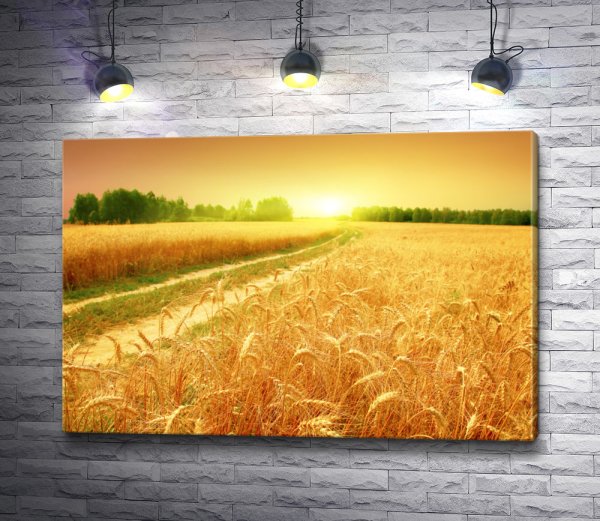 Холст пшеничное поле