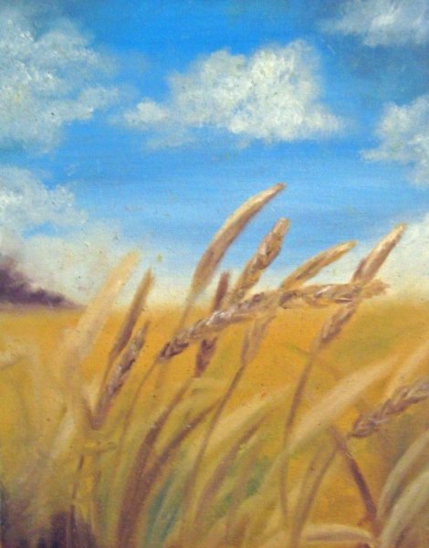 Рожь Герасимов