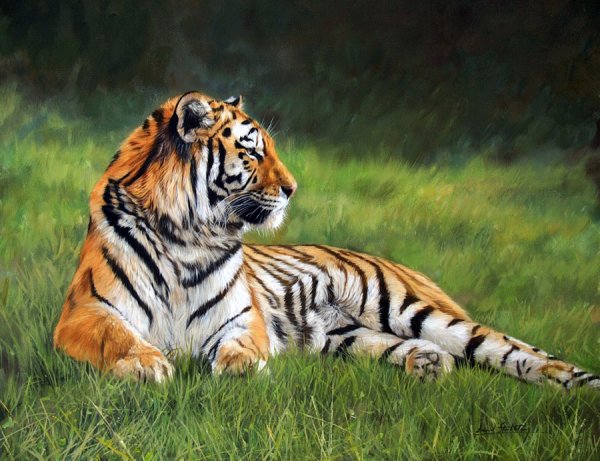 Пазл водяной тигр