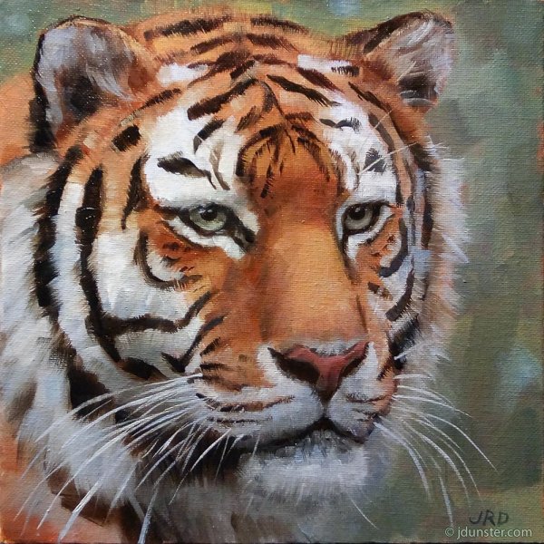 Арты животных тигра