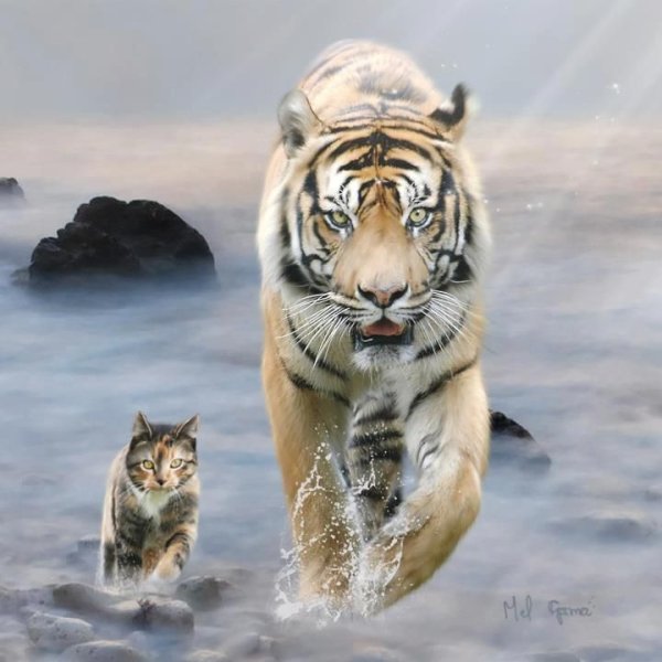 Роберт Даллет тигр